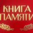 Проект «Они подарили нам жизнь» реализуют Ржаницкие школьники Жуковского района Брянской области - Газета Восход