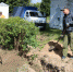 В Дубровке Брянской области полным ходом идет благоустройство парка - Газета Восход