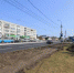 Газоны и тротуары восстановят в Брянске на Московском проспекте - Газета Восход