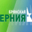 5600 светильников заменили и установили в Брянской области за 10 месяцев уходящего года - Газета Восход
