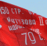 В День Победы на государственных учреждениях Брянского региона предлагают установить копию Знамени Победы - Газета Восход