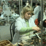 Программа профобучения стартовала в Брянской области - Газета Восход