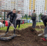 Сотрудники МЧС из Брянска приняли участие в экологическом субботнике «Зелёная Россия» - Газета Восход