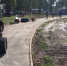 Продолжаются ремонтные работы на Центральном стадионе «Урожай» в поселке Локоть - Газета Восход