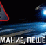 Оперативно — профилактическое мероприятие «Пешеход!» - Газета Восход