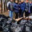 За субботник из Брянска вывезли 1 343 кубометров мусора и грязи - Газета Восход