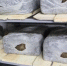 В Новозыбкове Брянской области выращивают шампиньоны - Газета Восход
