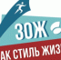 Финансовую поддержку в Брянске получит молодежный фестиваль «ЗОЖ как стиль жизни» - Газета Восход