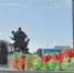 29 июня пройдет международный фестиваль «Партизанскими тропами Брянщины» - Газета Восход