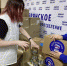 «Единая Россия» и #МЫВМЕСТЕ объединяются для помощи семьям мобилизованных - Газета Восход