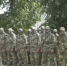 В Брянской области сформировали отряд из добровольцев в помощь пограничным войскам - Газета Восход