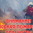 Cжигание сухой травы грозит пожарами - Газета Восход