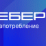 Интернет завоевал симпатии старшего поколения - Газета Восход