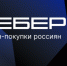 Офлайн vs онлайн шопинг: «Вебер» рассказал об отношении россиян к покупкам в интернете - Газета Восход