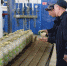 В КП-3 выпущено консервированной продукции почти на 27 миллионов рублей - Газета Восход