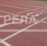 Брянская легкоатлетка Мария Прохорец стала чемпионкой России - Газета Восход