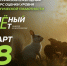 Брянцев приглашают принять участие в экологическом тестировании «Зелёный Зачёт» - Газета Восход