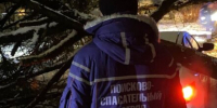 Последствия непогоды круглосуточно убирают аварийные бригады - Газета Восход