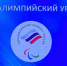В Брянске проходят мастер-классы с паралимпийцами в рамках премии «Возвращение в жизнь» - Газета Восход