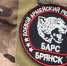 В Брянске набирают добровольцев для участия в защите «БАРСА» - Газета Восход