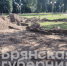 В брянской роще «Лесные сараи» готовят площадку для памятника пограничникам - Газета Восход