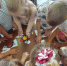В Суражской городской детской библиотеке прошел урок безопасности «Внимание! Операция Каникулы!» - Газета Восход