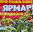 В Брянске прошла традиционная сельскохозяйственная ярмарка выходного дня - Газета Восход