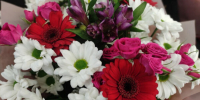 Губернатор Александр Богомаз поздравил двух землячек с высокими госнаградами - Газета Восход